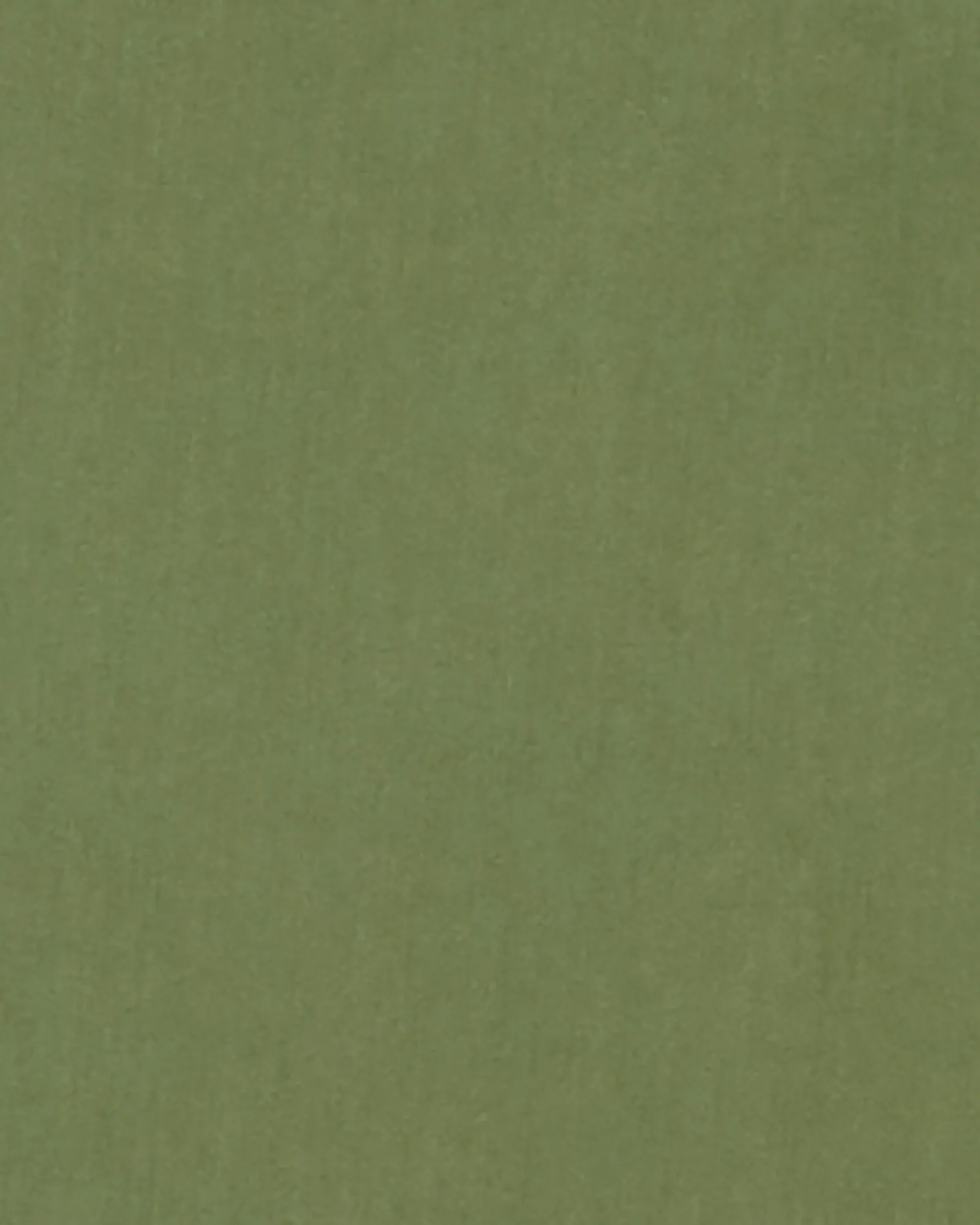Reading Brushed Sateen Capri with Cuff | Olive Green